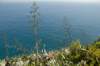 badplaatstossademarincataloni6mei2009jenny17_small.jpg