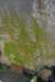 badplaatstossademarincataloni6mei2009jenny9_small.jpg